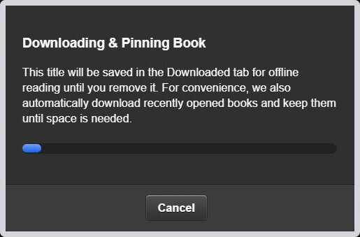 Downloading & Pinning Book in Kindle Cloud Reader