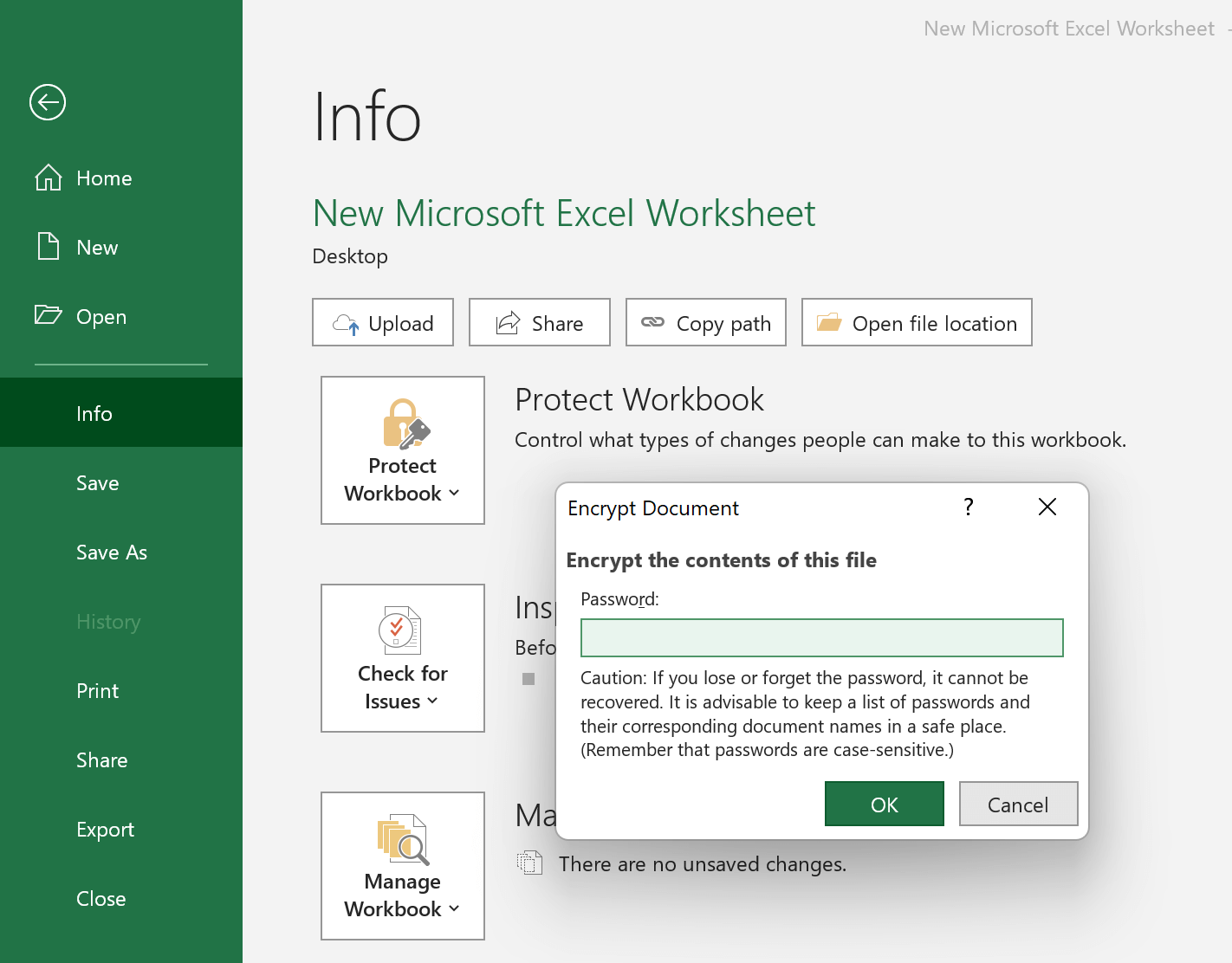 Input the Password to Password Protect Excel File