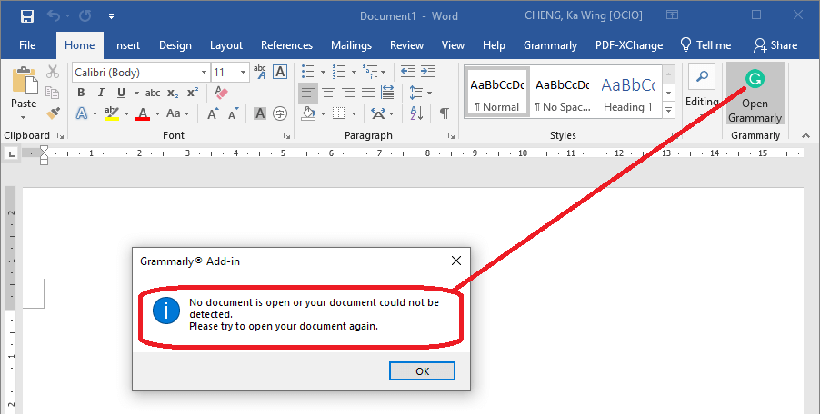 Grammarly Error No Document is Open