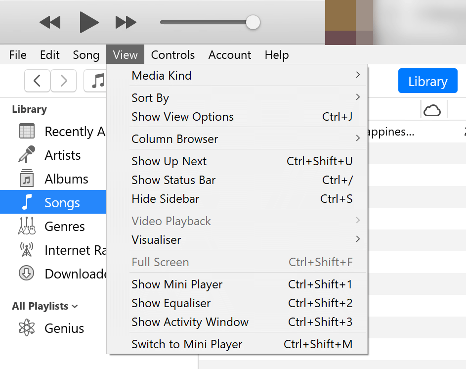 iTunes view options