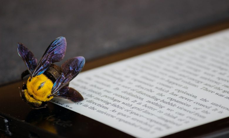Convert Kindle DRM-ed eBooks to EPUB