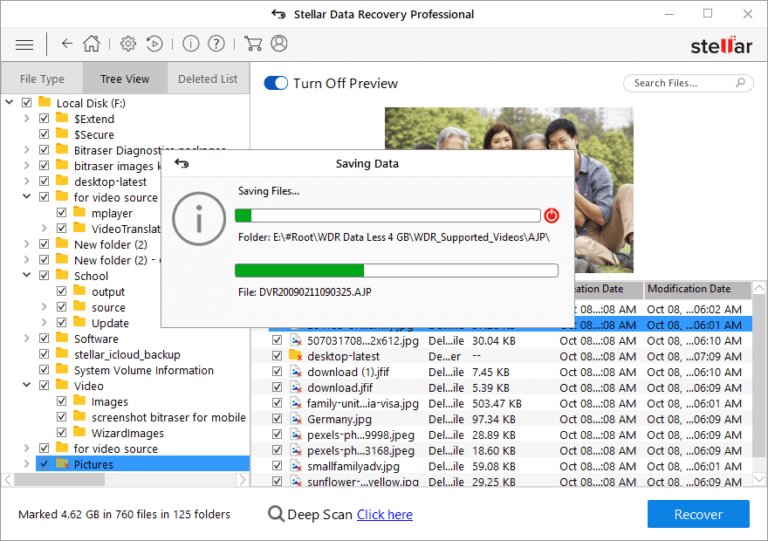Listi yfir fundnar skrár í Stellar Data Recovery